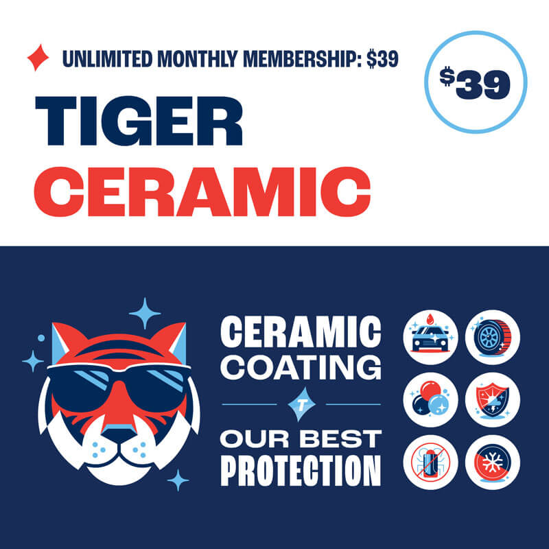 Packages-Tiger-Ceramic